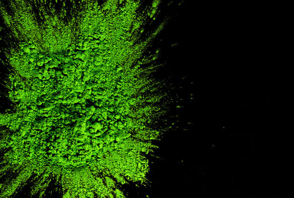 Culture de chlorella en photobioréacteur