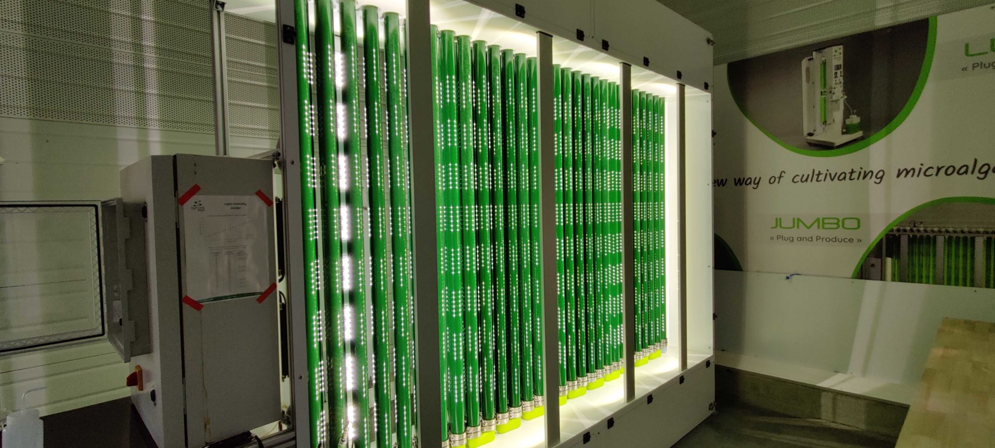 Spirulina its properties and cultivation methods Synoxis Algae