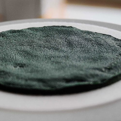 spiruline-comment-la-cultiver