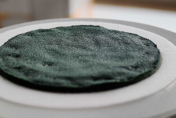 spiruline-comment-la-cultiver