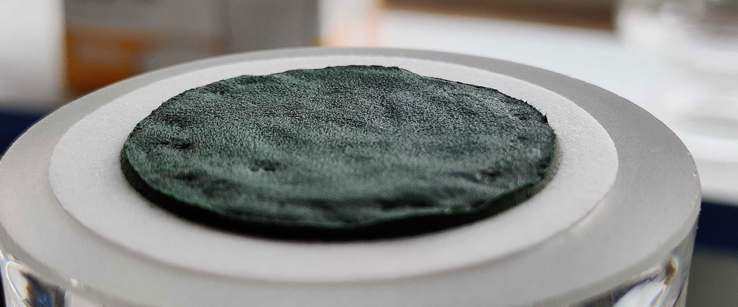 Spirulina: its properties and cultivation methods
