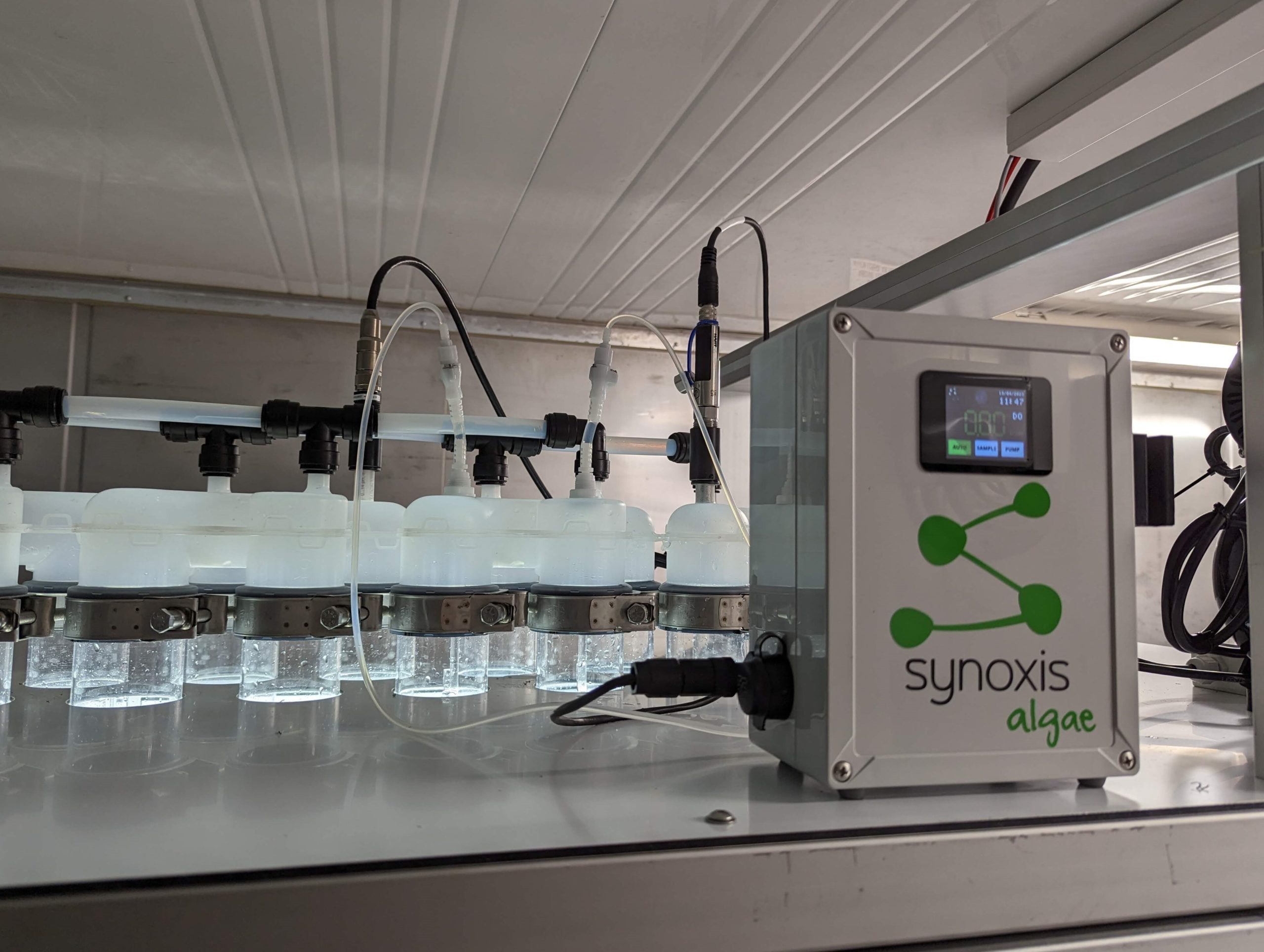 Capteur de densité optique pour microalgues