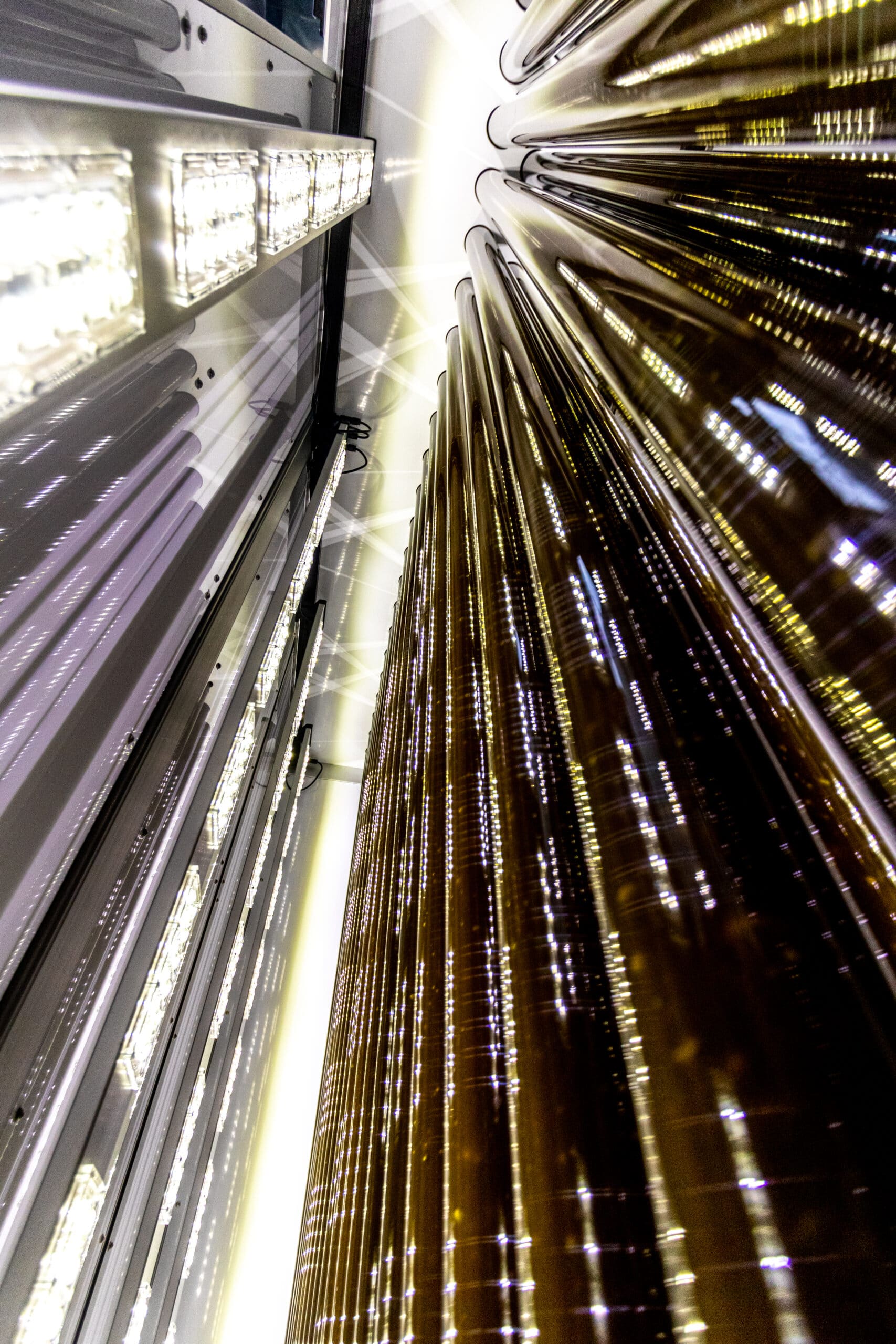 Microalgues dans photobioréacteur avec tubes