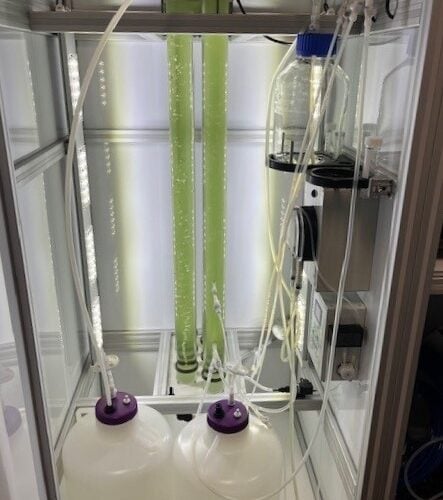 LUCY 2025 chambre de culture