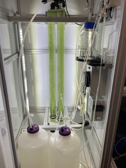 LUCY 2025 chambre de culture