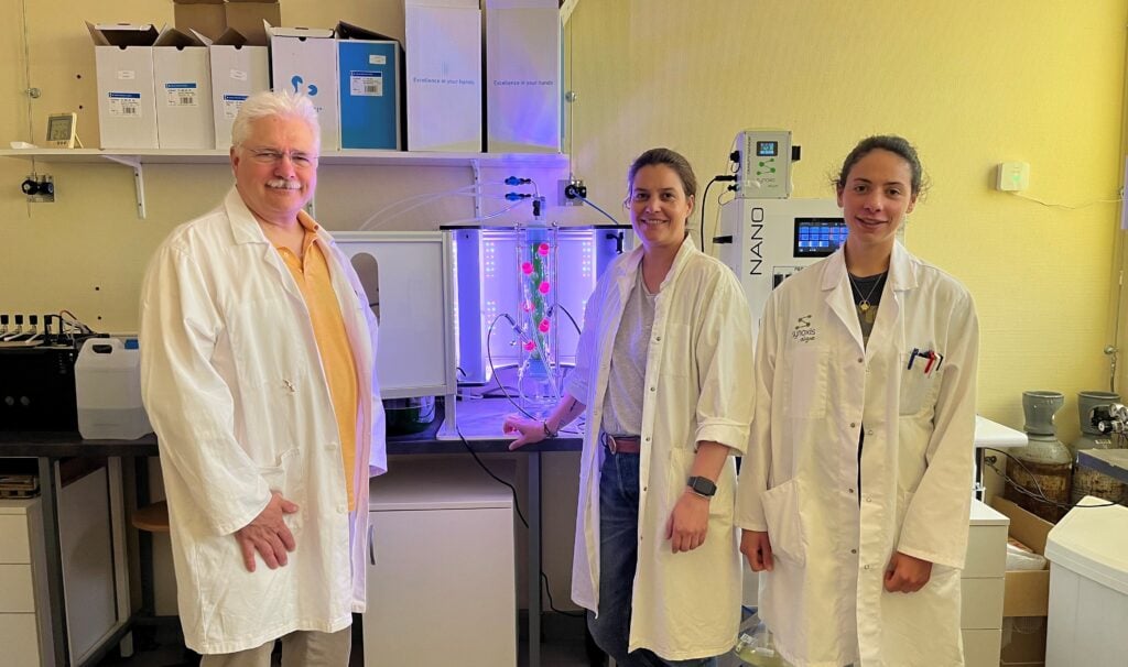 LE MANS UNIVERSITE NANO MICROALGUES