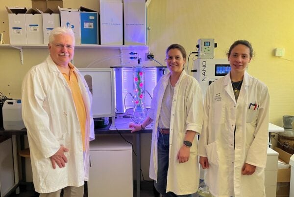 LE MANS UNIVERSITE NANO MICROALGUES