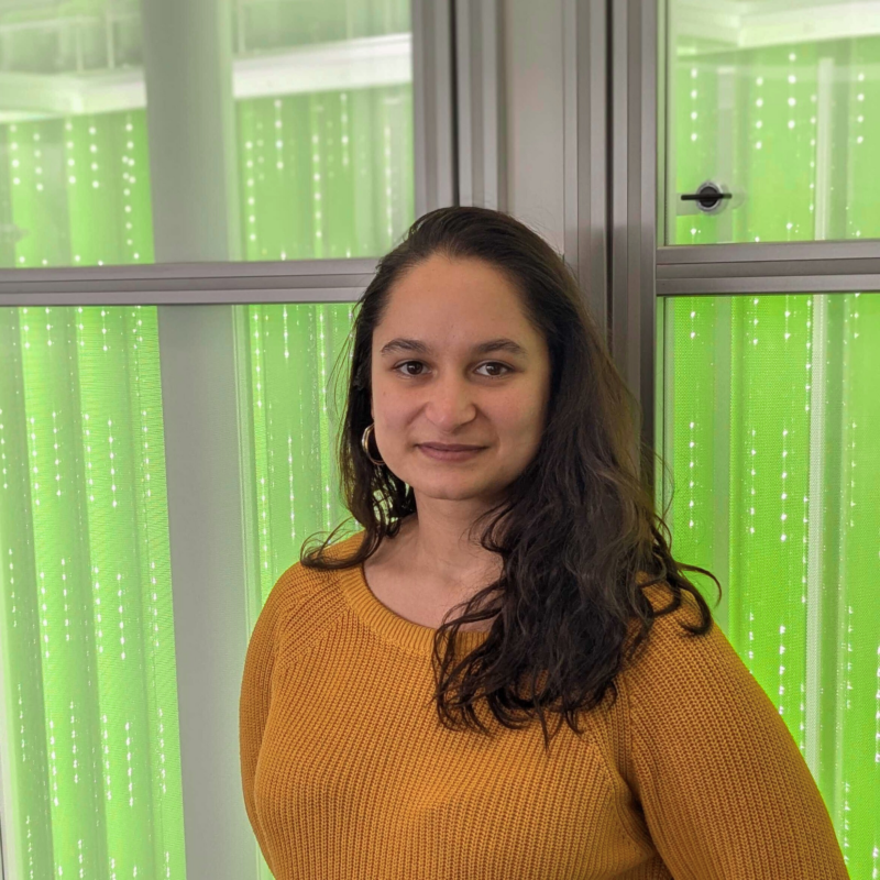 Equipe Synoxis algae Christel