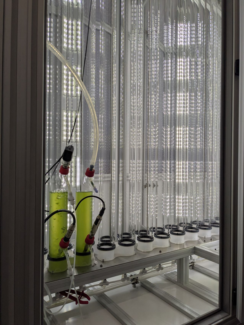 Nouvelle année, nouvelles innovations !