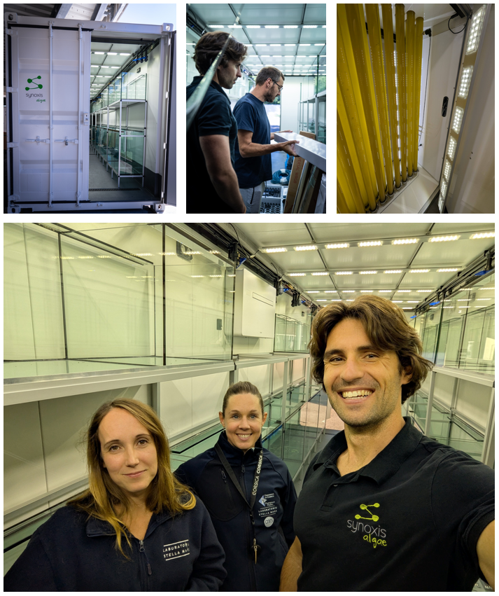 Nouvelles de nos utilisateurs chez Stella Mare