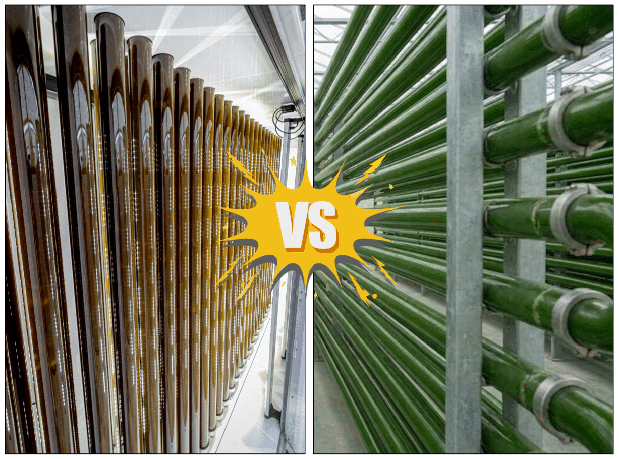 Dans les photobioréacteurs tubulaires, toutes les stratégies de régulation ne se valent pas