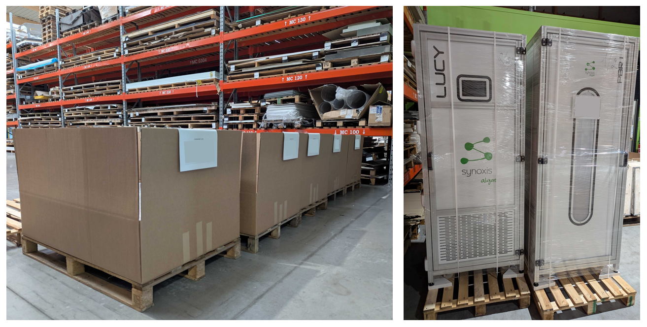 On dirait que certains cadeaux de Noël arrivent en avance cette année !